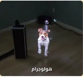 هولوجرام ستارة البخار – تقنية عرض المستقبل من فيدروس